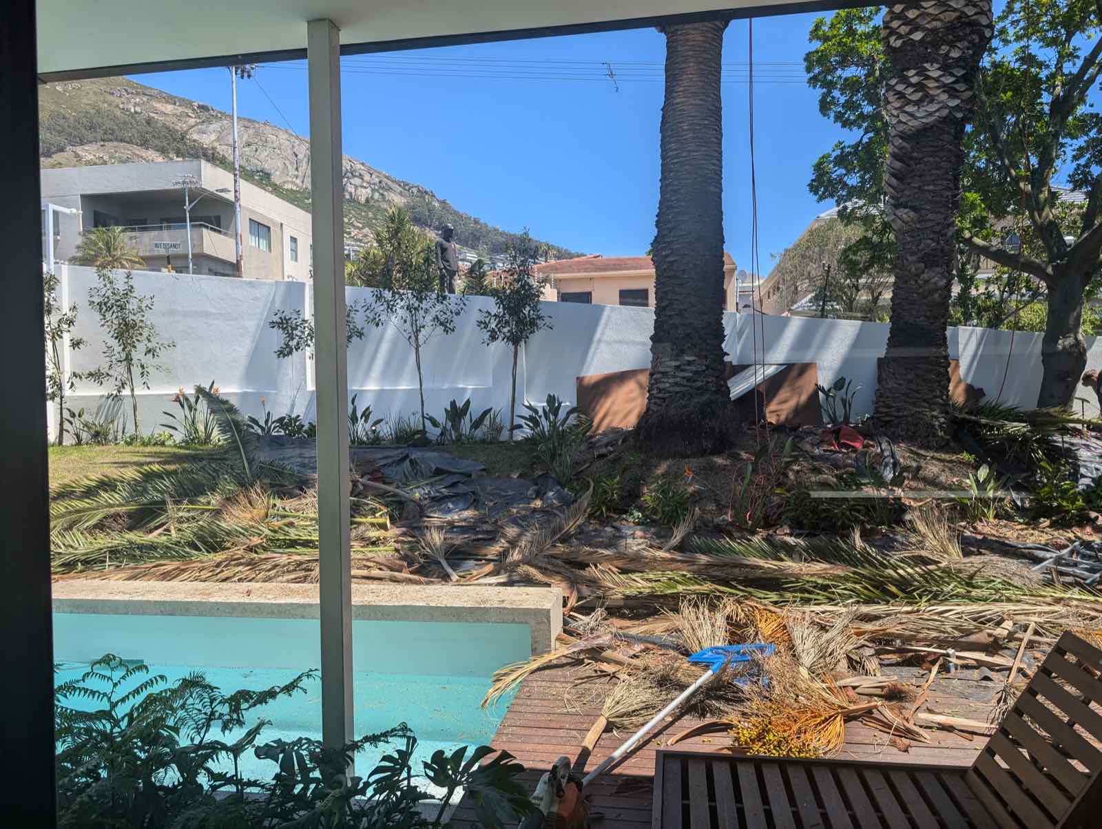 Palm frond pruning debris scattered across the pool deck — the absolute chaos of the landscape installation