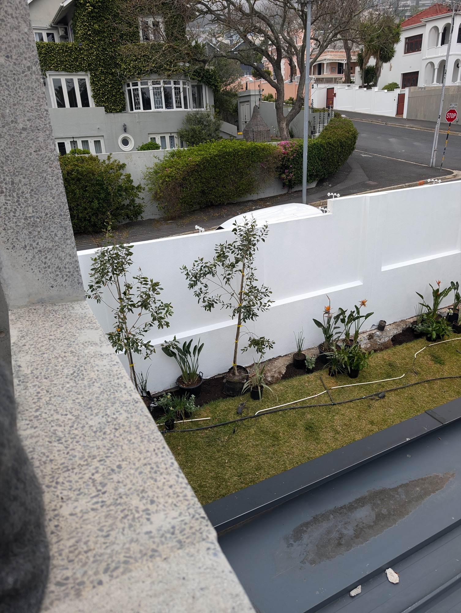 Early garden planting from the balcony