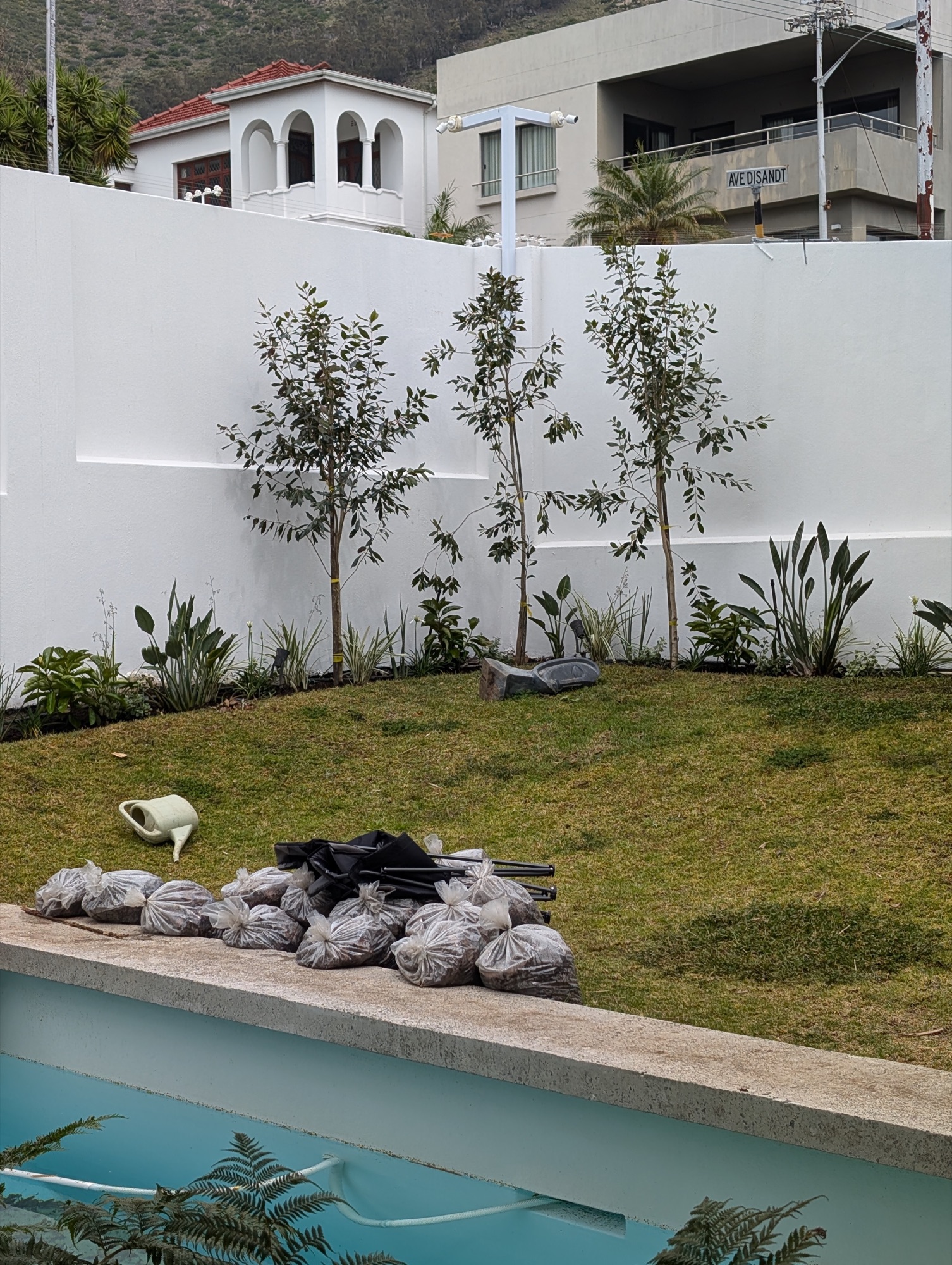 Young trees settling in along the garden perimeter